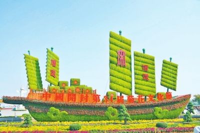 七彩菊惊艳龙亭