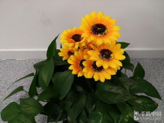 小米5s Plus评测 性能达到发烧级别