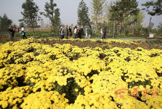 西安新植物园今日试开园 翠华路园区闭园改造