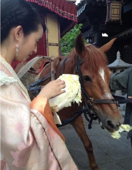 明星片场干些啥:杨幂狂吃堪称片场食神胡歌霍