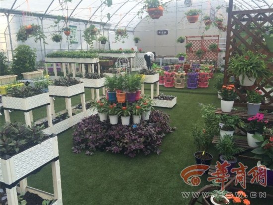 西安南二环一商场楼顶建 空中农场 市民可认购