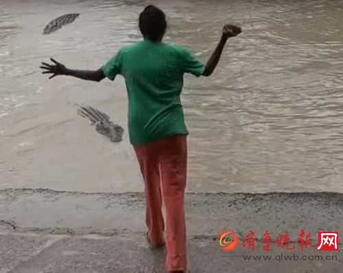 女子拖鞋暴打鳄鱼视频火了 据说那里的鳄鱼旺