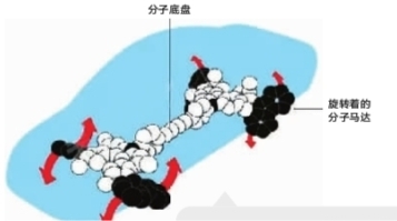 武汉高校客座教授获诺贝尔化学奖