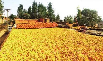 国庆期间 河南空气质量同比改善不少禁烧给力