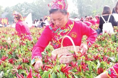 国庆期间 河南空气质量同比改善不少禁烧给力