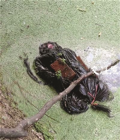 34小时破获 杀人沉尸 案 淘宝淘出死者同款上衣