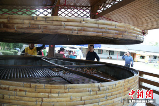 42万人次 涌进 盐城大纵湖 直呼湖荡 有味道