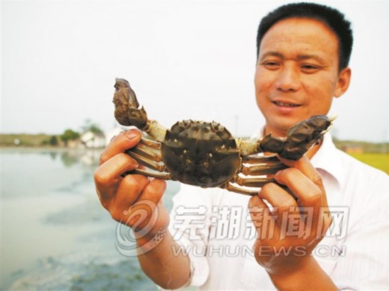 芜湖2013财政收入_2016年安徽省财政总收入4373亿元增长9%(2)