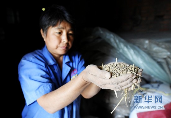 河南小麦三量齐增怪现象倒逼农业供给侧改革