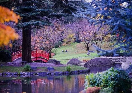 日本 庭園 園林 世界