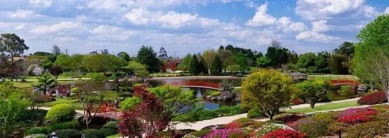 日本 庭園 園林 世界