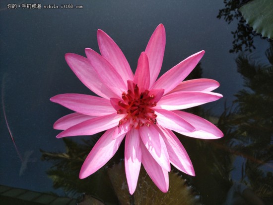 努比亚Z11miniS评测 拍照能力比肩旗舰