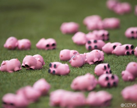 英甲赛场变猪圈 球迷投掷3000多只玩具小猪