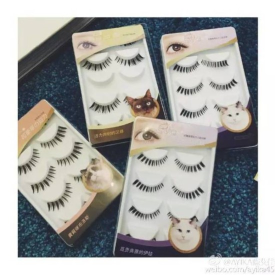 �O�A�β��֤F�I�沴�֭n�������֦n��100���I