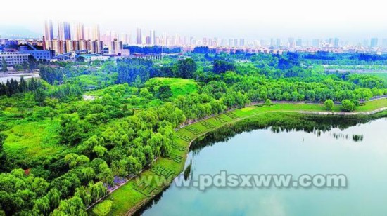 郑州道路护栏_郑州人均道路面积(3)