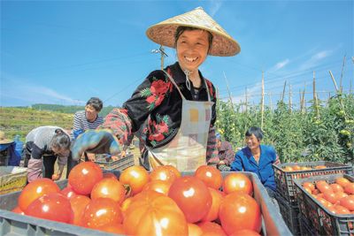 十四五农村贫困人口脱贫_脱贫攻坚图片(3)