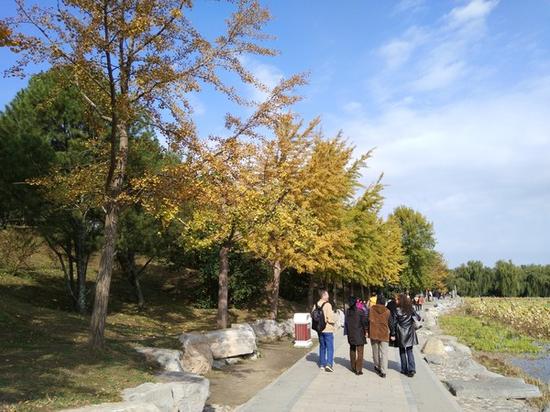 小米MIX最全深度评测:处处充满着美感与黑科技