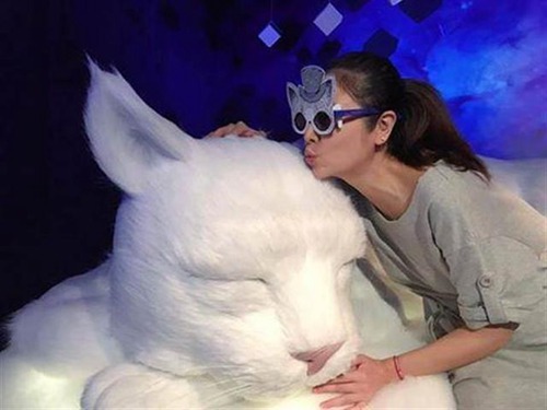 林心如秒删孕肚照 Anglebaby姚晨贾静雯 揭女