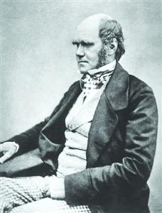 1854��ʱ�Ĵ����