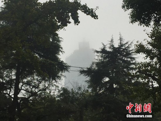南京阴雨浓雾中迎立冬节气 漫山红枫渐入佳境