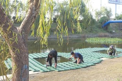 南通海安开发区在河道铺设生物浮床 净化水质
