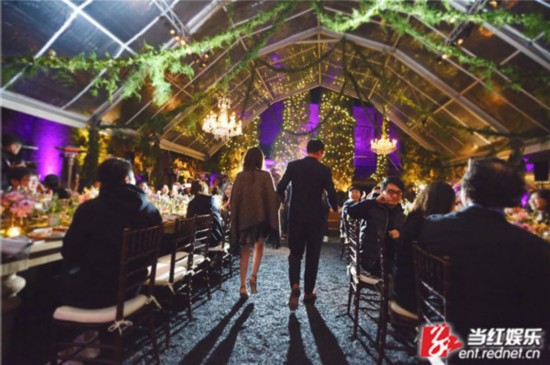 神仙姐姐一笑好倾城!张靓颖冯轲大婚 刘亦菲紫