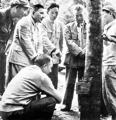 1960年,邓小平在海南万宁南林农场观看工人割