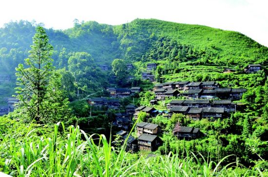 乡村旅游农旅一体化