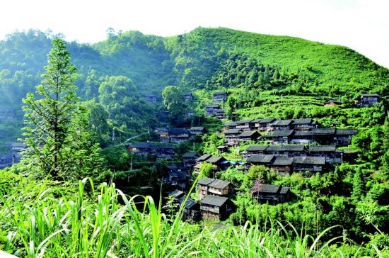 鄉村旅游農旅一體化