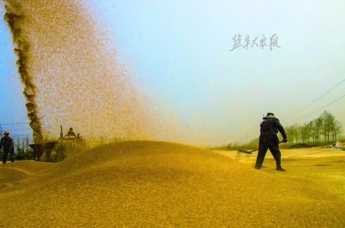 航拍盐城秋景:碧水蓝天 醉人美景入画来--人民