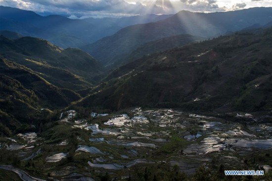 CHINA-YUNNAN-HONGHE-HANI RICE TERRACE (CN)