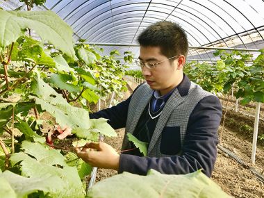 如皋石庄大学生村官王昌宇矢志不渝重实干