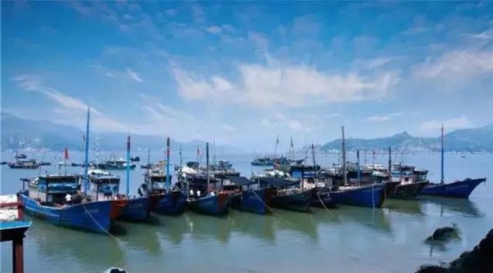 宁德福鼎:一个让你没有理由拒绝的夏天吃海鲜