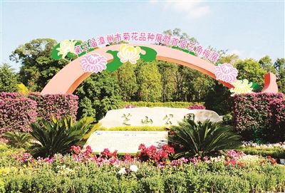 11月12日至12月5日 芝山公园6万盆菊花三角梅邀你来赏--福建频道--人民网