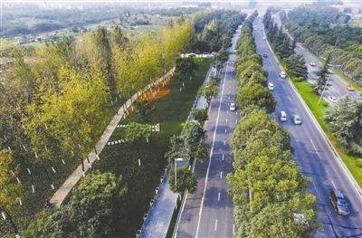 树木错落有致各种花儿开 成都三环路扩能提升