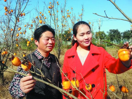 盐城盐都大冈镇现代农业示范园四季有果--人