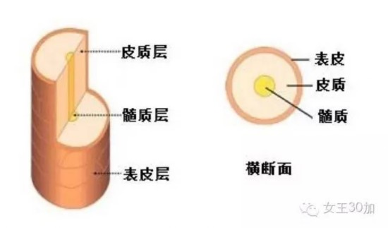 umŦjǻn媺qoyJ󦳬YI