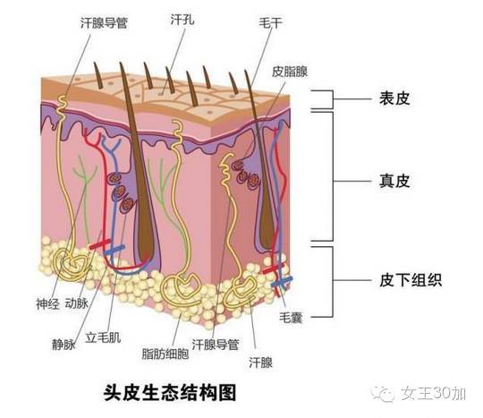 umŦjǻn媺qoyJ󦳬YI
