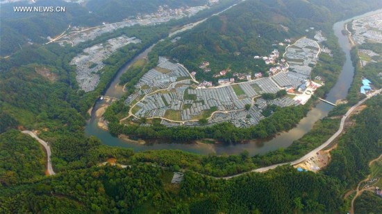 CHINA-GUANGXI-KUMQUAT FIELD (CN)