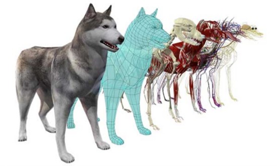 VR教育:国泰安VR智慧实训室 开启职业实训新