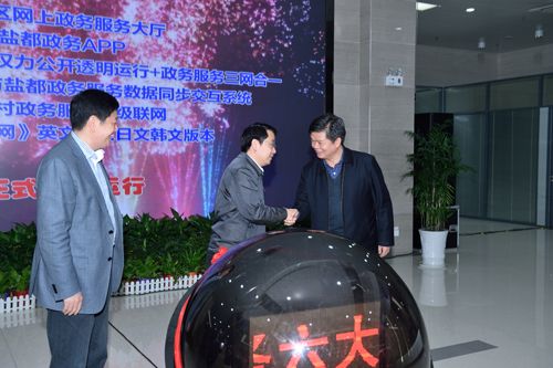 盐城盐都互联网+政务服务等成果上线运行--人