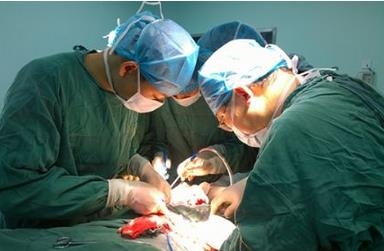 股骨骨折 术后腿短2厘米 医院被判承担30%责任