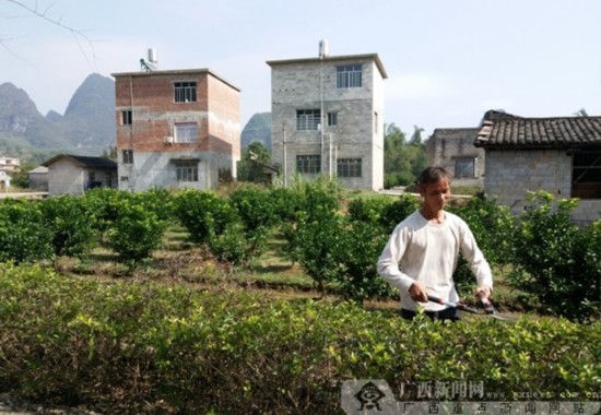 荔浦县双江镇大厄厂屯:绿色村屯 民富生态美