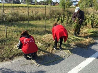 南通海安志愿者帮助农村孤寡老人干农活--人民