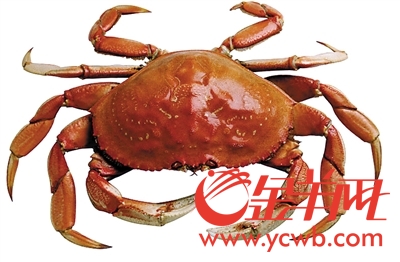 肌肉溶解症图片_孩子眼珠被溶解图片_海鲜肌肉溶解症