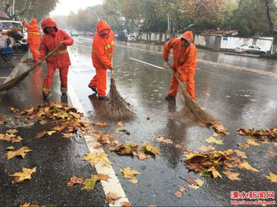 南京溧水环卫工冒寒风冷雨凌晨清扫落叶--人民