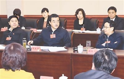 张庆伟参加廊坊、衡水代表团审查省党代会报告