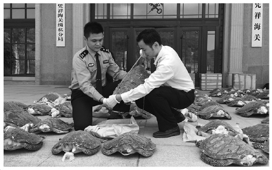 凭祥海关查获特大走私珍稀动物案