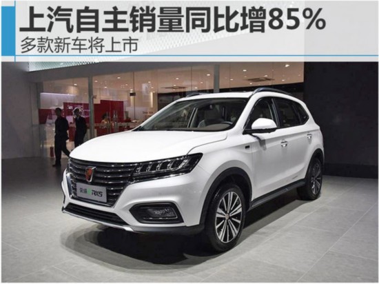 ������������ͬ����85% ����³�������-ͼ1