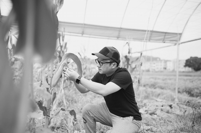 莆田一企业高管回乡务农